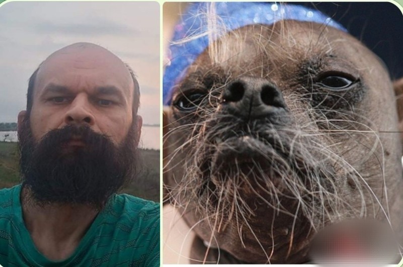 Create meme: scary dog breeds, the worst dog in the world, The bearded dog