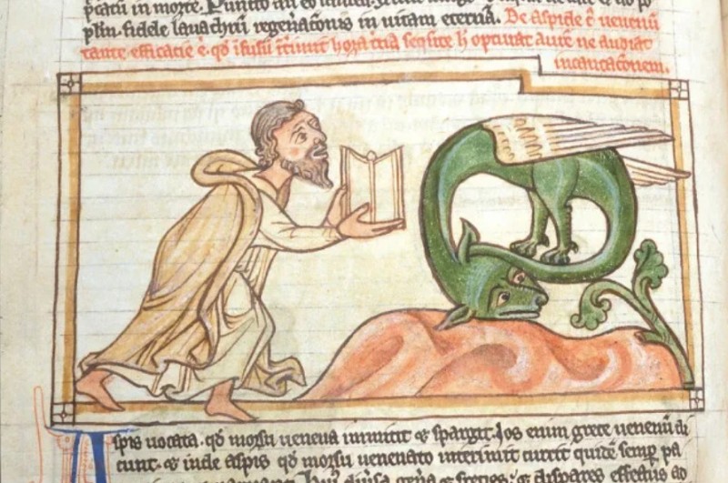 Create meme: suffering middle ages , medieval bestiary, medieval bestiary asp