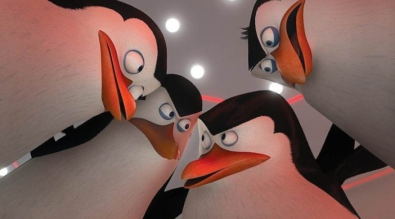 Создать мем: пингвины мадагаскара шкипер 2014, рико пингвин, пингвин из мадагаскара