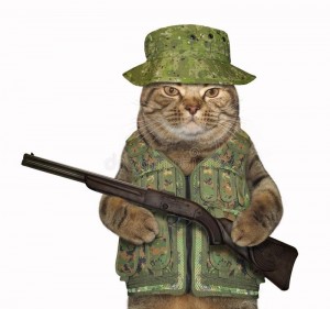 Create meme: the cat in the form, in uniform, cat in a military helmet