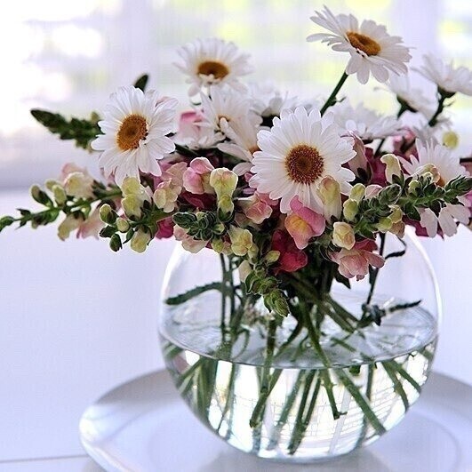 Создать мем: доброго утра, цветы красивые, утренние цветы в вазе