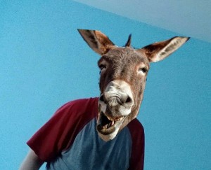 Создать мем: ослы, the donkey, смеющийся осел