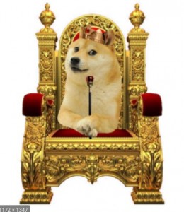 Создать мем: король собака, doge, shiba inu dog