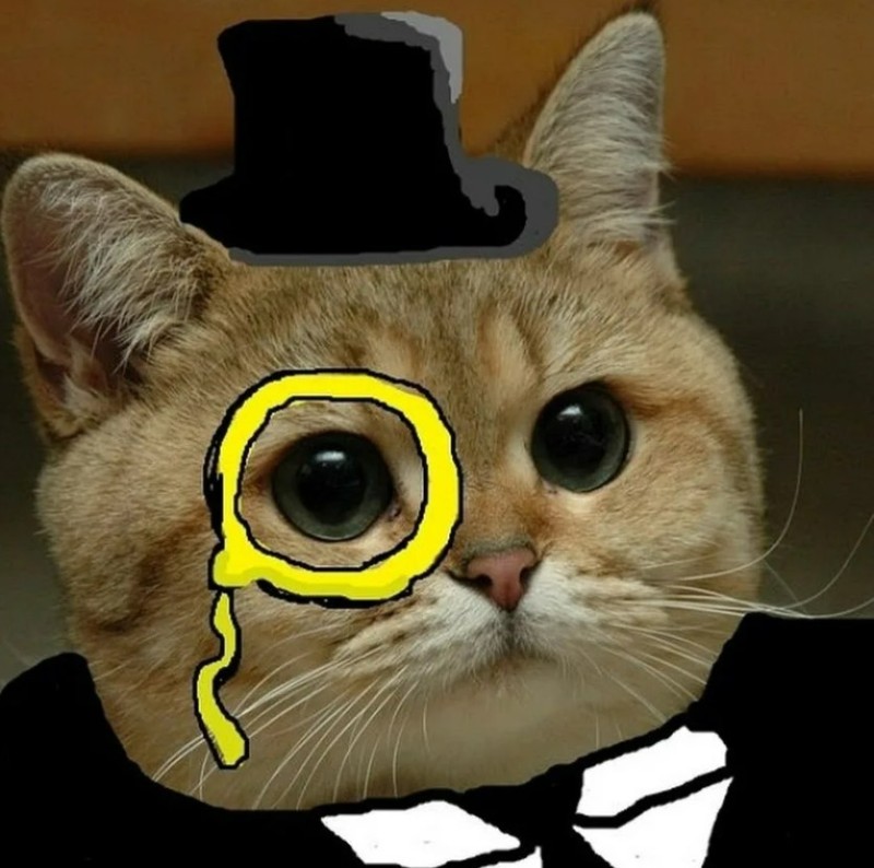 Create meme: the cat sir