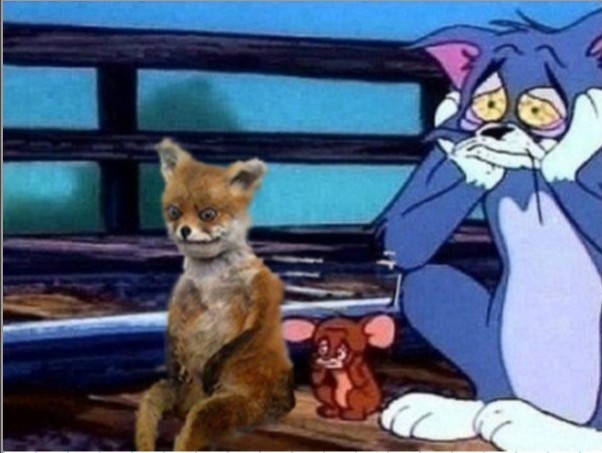 Create meme: Tom and Jerry , Tom and Jerry sad, cat Tom and Jerry