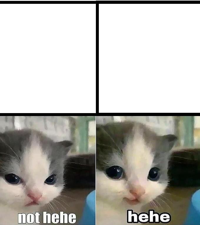 Создать мем: хехе мем котенок не хехе, мемы мемы, хехе кот