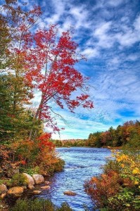 Создать мем: пейзаж реки, осень пейзаж, осень лес