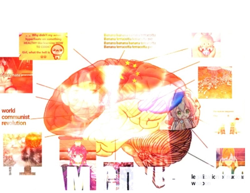 Create meme: brain , anatomy of the brain, anatomical poster of the brain