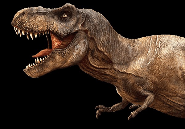 Создать мем: динозавр аллозавр, парк юрского периода тираннозавр, динозавр тираннозавр рекс и самка