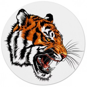 Create meme: tiger head, angry tiger, tiger