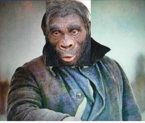 Create meme: monkey, Australopithecus, the lifestyle of the Australopithecus