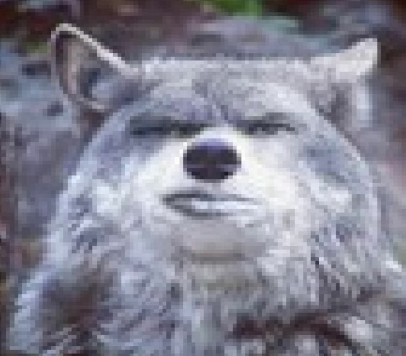 Create meme: the disgruntled wolf, wolf memes, proud wolf 