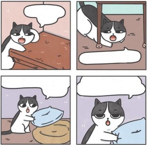 Create meme: short comic Breakfast, cat, funny comics