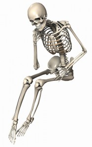 Create meme: human skeleton, skeleton, skelet