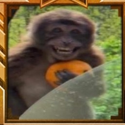 Create meme: monkey with orange, Leo , monkey with orange meme