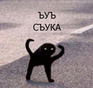 Create meme: black cat meme, black cat joy
