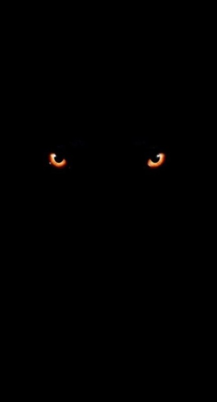 Create meme: black cat , demon eyes, black background 