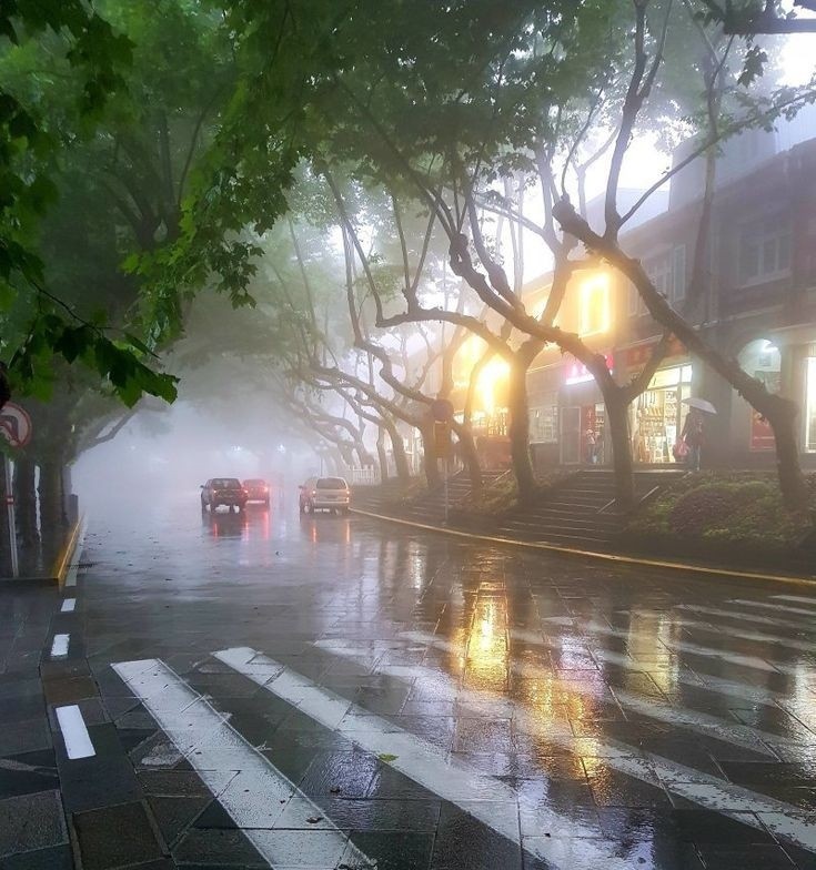 Создать мем: городские пейзажи, дождь, дождь туман