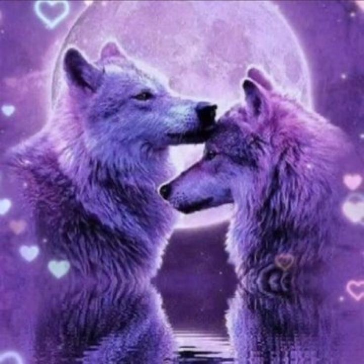 Создать мем: фиолетовый волк, волк любовь, волк волчица