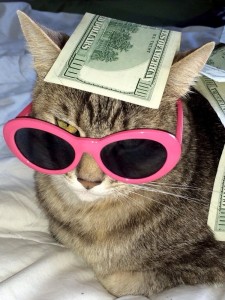 Create meme: cat money, money, cool cat