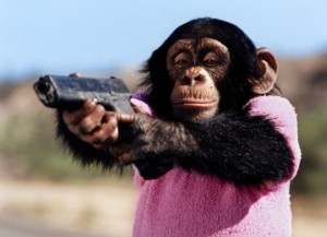 Create meme: monkey, a monkey with a gun