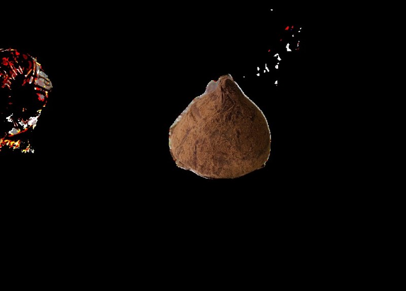 Создать мем: астероид 3010 ushakov, 2011 cq1 астероид, asteroid