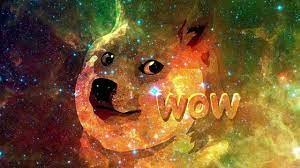 Create meme: the cat on the background of the cosmos, a dog in space, great dane on the background of space