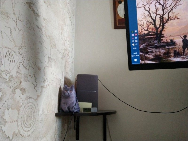 Создать мем: котяра, кошечка, кот перед телевизором