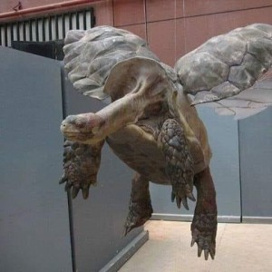 Create meme: sculpture, came turtle, turtle