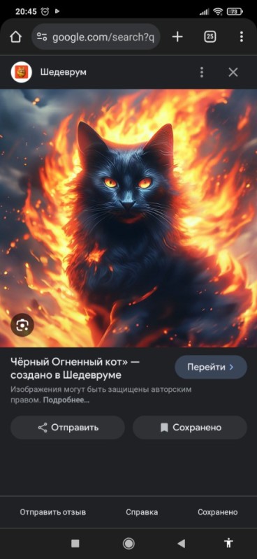 Создать мем: огненная кошка, кот кот, чёрный кот арт
