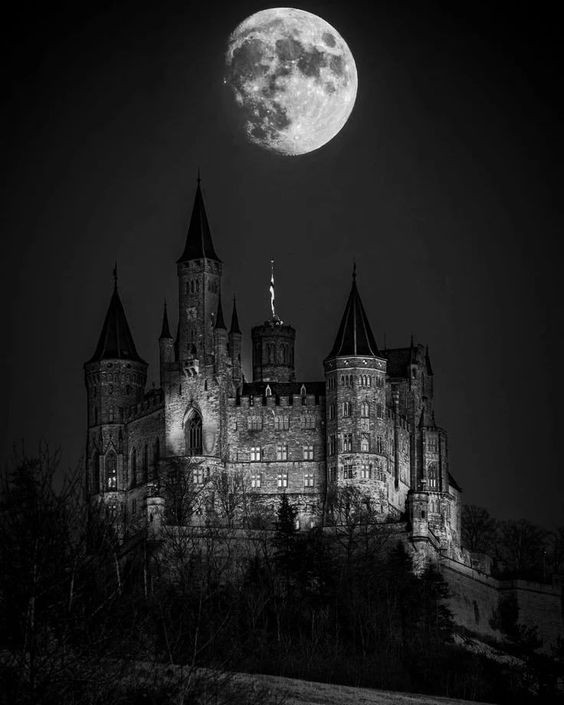 Создать мем: таинственный замок ночь, мрачные замки, готика замок