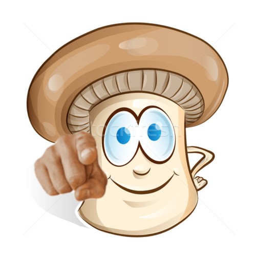 Create meme: mushroom cartoon, cartoon mushrooms, The joyful mushroom