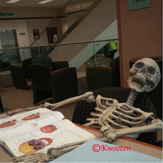 Create meme: meme skeletons, the skeleton in the chair, skeleton at the computer