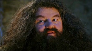 Create meme: Harry Potter Hagrid, Hagrid from Harry
