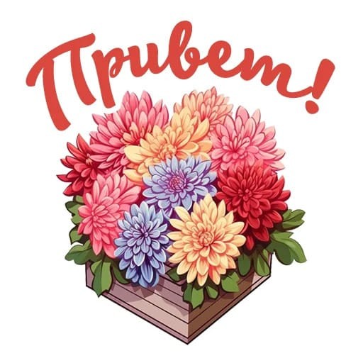 Create meme: postcard, flowers , chrysanthemum flower