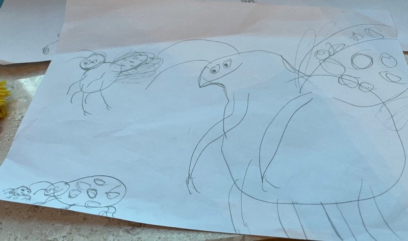 Create meme: drawing, parrot pencil drawing, we draw a bird with salt