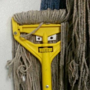 Create meme: funny pics with MOP, dirty MOP, MOP shaggy