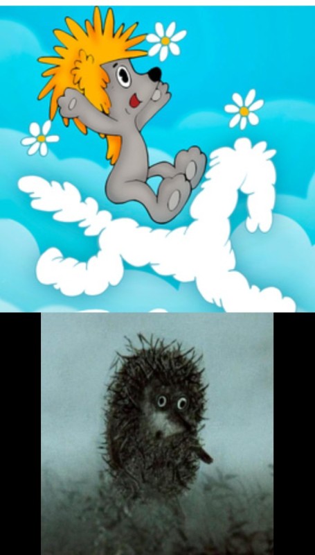 Create meme: shake! hello!, clouds white - maned horses, cartoon hedgehog in the fog