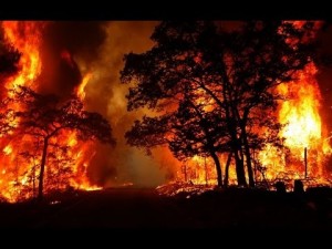 Create meme: special fire-prevention mode, fire, the fires in the Krasnodar woods