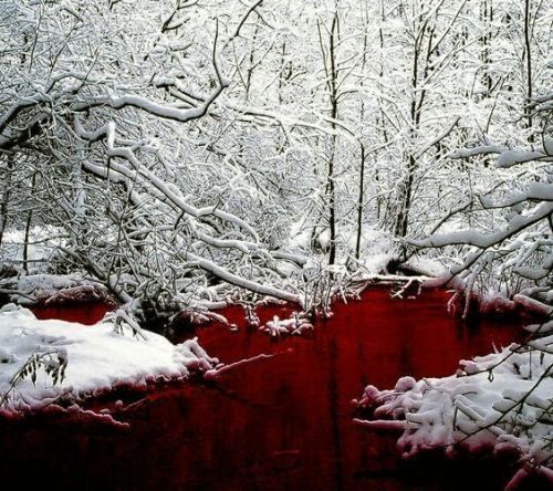 Create meme: blood on the snow, bloody winter, red lake