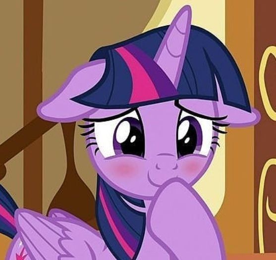 Create meme: twilight sparkle alicorn , friendship is a miracle, pony twilight sparkle