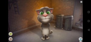 Создать мем: кота тома, том говорящий кот, talking tom cat