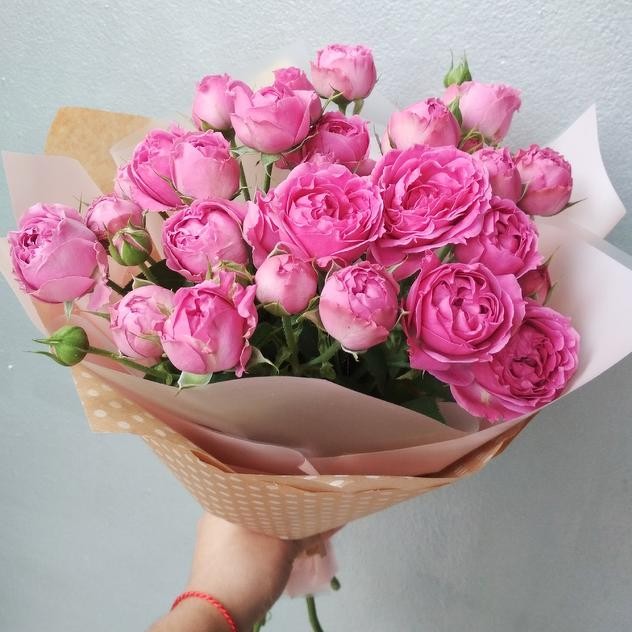 Create meme: peony - shaped bush roses, rose pink bubbles, peony roses 