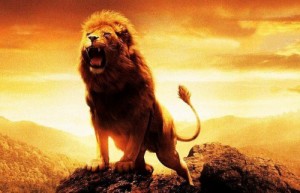 Создать мем: лев, король лев, lion king