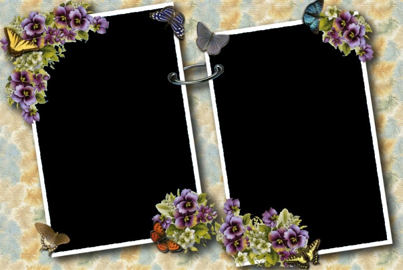 Create meme: collage frame, beautiful frames for photoshop, frame 