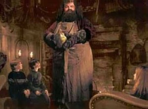 Create meme: Hagrid and the egg, rubeosis Hagrid, footage from Harry Potter's Hagrid