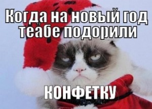 Create meme: no new year mood pictures, unbridled joy cat, New year