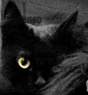 Создать мем: черный кот в темноте, кот, черные коты