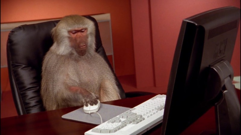 Создать мем: office monkey, бабуин в офисе, обезьяна с компьютером