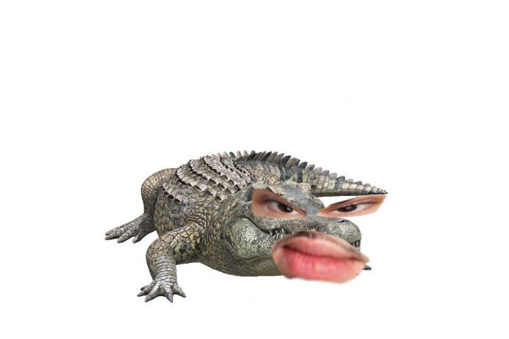 Создать мем: крокодил, аллигаторы, crocodile